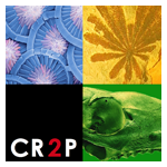 CR2P lab logo