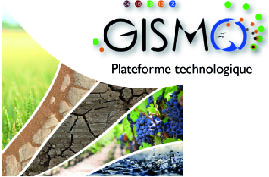 géologie, minéralogie et géochimie (plateforme technologique Gismo)