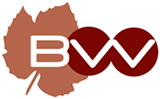 logo gip bvv