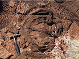 Stromatolite carbonaté de la formation de Tumbiana