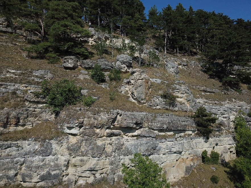 Stromatolites from Jussat cliff (Puy-de-Dôme, France)